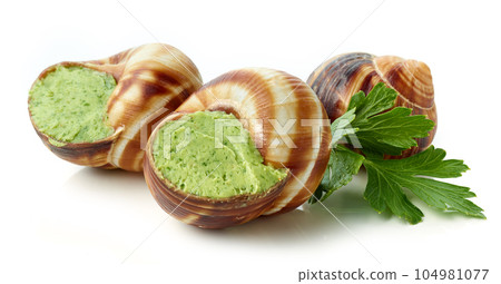 escargot snail filled with garlic and parsley butter escargot snail filled with garlic and parsley butter 104981077
