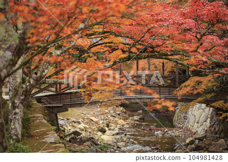 深秋的三原佛寺、秋天的佛寺川和虎萬橋 104981428