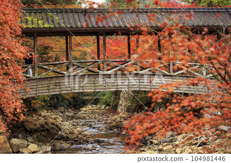 Mihara Buttsu-ji Temple autumn leaves and giant bridge Mihara Buttsu-ji Temple autumn leaves and giant bridge 104981446