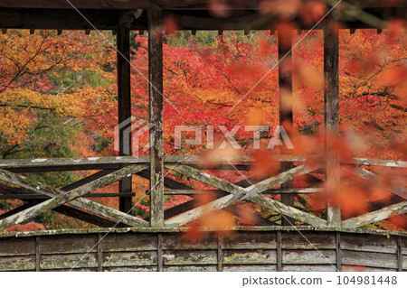 深秋的三原佛寺、Komankyo 橋和秋葉 104981448