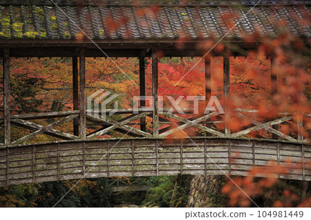 深秋的三原佛寺、Komankyo 橋和秋葉 104981449
