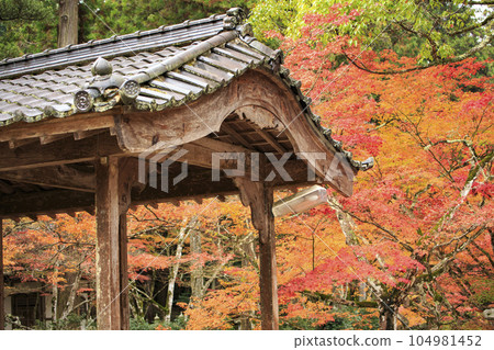 Mihara Buttsuji Temple in late autumn, Komankyo Bridge and autumn leaves Mihara Buttsuji Temple in late autumn, Komankyo Bridge and autumn leaves 104981452