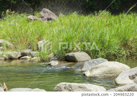 【仲夏多西河】 【仲夏多西河】 104983220