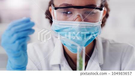 Science, test tube and plant with woman in laboratory for medical, agriculture and pharmacy research. Biotechnology, ecology and healthcare with gmo scientist and for biology, vaccine and medicine 104983657