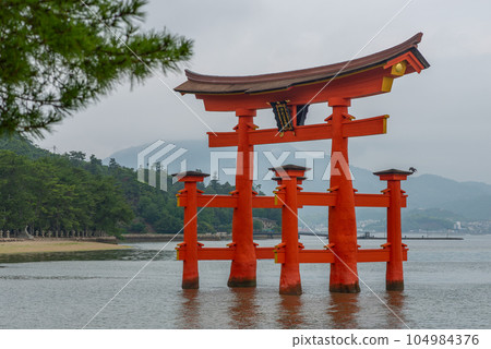 A red torii floating in the sea of Miyajima, one of the three scenic spots in Japan A red torii floating in the sea of Miyajima, one of the three scenic spots in Japan 104984376
