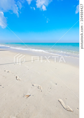Ocean, blue sky and landscape with beach sand and travel, waves and summer vacation outdoor in Hawaii. Environment, horizon and seaside location with tropical destination and journey on island 104984427