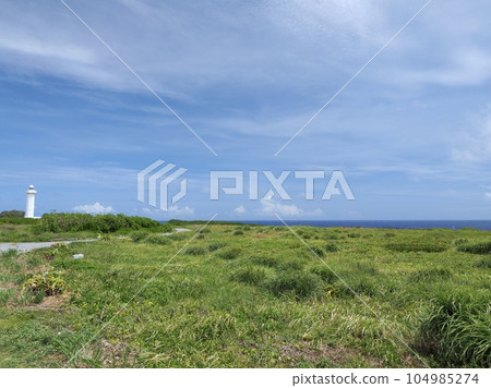 宮古島、東平安名崎草原 宮古島、東平安名崎草原 104985274
