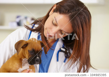 Hugging, doctor or sick puppy at vet for animal healthcare check up in nursing consultation in office. Affection, nurse or young rescue pet boxer in examination or medical test in veterinary clinic 104985395