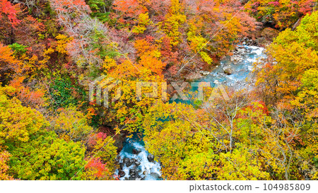Autumn leaves in Hachimantai and Matsukawa Valley (near Mori-no-Ohashi Bridge) 104985809