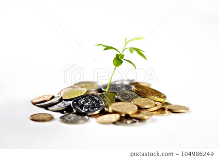 Money, savings and a plant for growth of cash, financial wealth and change on a white background. Studio, future and plants with coin for investment, banking or finance progress for banking and loan Money, savings and a plant for growth of cash, financial wealth and change on a white background. Studio, future and plants with coin for investment, banking or finance progress for banking and loan 104986249