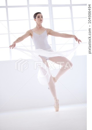 Dance, ballet and art with woman in studio for balance, elegant and performance. Creative, theatre and training with female ballerina dancing in class for competition, freedom and commitment Dance, ballet and art with woman in studio for balance, elegant and performance. Creative, theatre and training with female ballerina dancing in class for competition, freedom and commitment 104986494