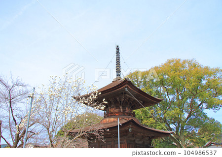 Scenery of Mitsuzoin Tahoto, Kasugai City Scenery of Mitsuzoin Tahoto, Kasugai City 104986537