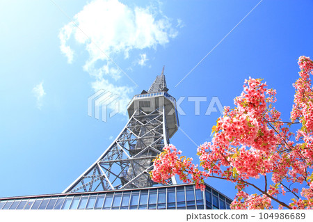 Nagoya city, TV tower and cherry blossom scenery 104986689
