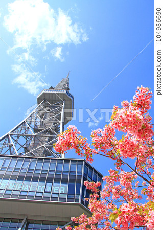 名古屋市、電視塔和櫻花風景 104986690