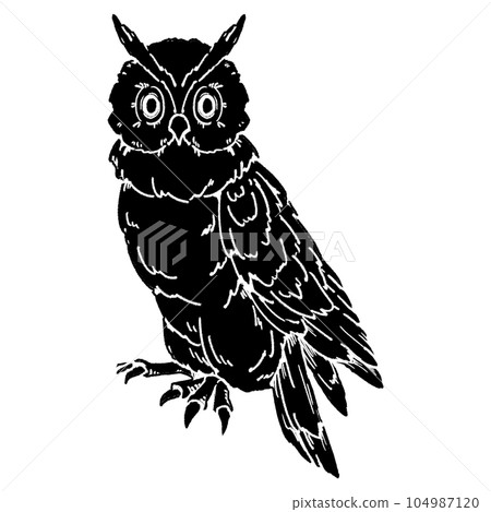貓頭鷹閉合翅膀(單品)/剪影 104987120