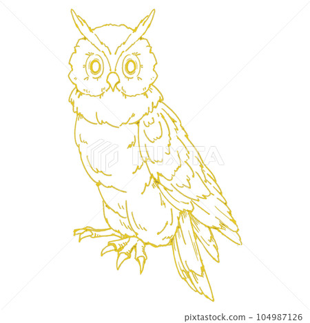 Owl with closed wings (single item) / gold leaf style line drawing 104987126