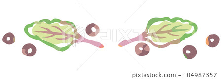 帶有蔬菜插圖的隔斷和裝飾。水彩風格，矢量素材。 104987357