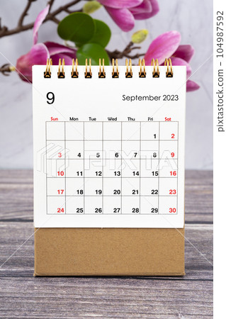 The September 2023 desk calendar and white pink magnolia flower on wooden background. The September 2023 desk calendar and white pink magnolia flower on wooden background. 104987592