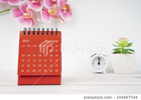 The Red calendar September 2023. Desk calendar for year 2023 and pink color orchid. The Red calendar September 2023. Desk calendar for year 2023 and pink color orchid. 104987594