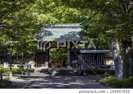 淨心寺大門被樹木覆蓋 104987648