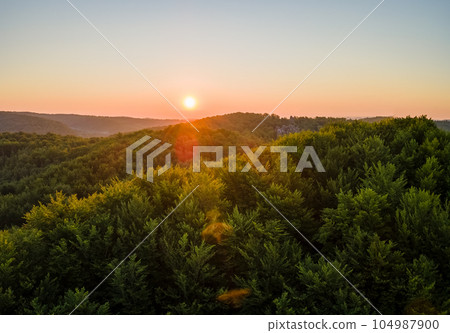 Vibrant foggy morning over dark forest trees at bright summer sunrise. Amazingl scenery of wild woodland at dawn. 104987900