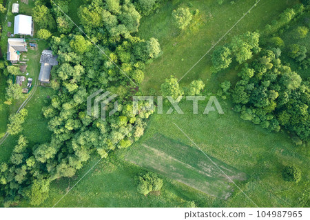 Top down flat aerial view of dark lush forest with green trees canopies in summer 104987965