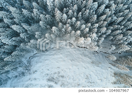 Top down aerial view of snow covered evergreen pine forest after heavy snowfall in winter mountain woods on cold quiet day. Top down aerial view of snow covered evergreen pine forest after heavy snowfall in winter mountain woods on cold quiet day. 104987967