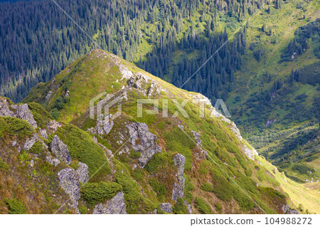 Panorama of Carpathian mountains in summer sunny day. 104988272