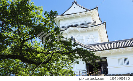 關東八州之一神奈川縣小田原市小田原城遺址的夏天 關東八州之一神奈川縣小田原市小田原城遺址的夏天 104990420