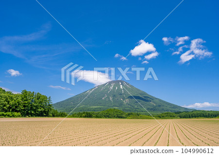 Beautiful Mt. Yotei summer field Beautiful Mt. Yotei summer field 104990612