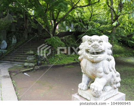 Japanese temple scenery Japanese temple scenery 104990945