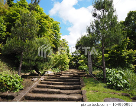 Japanese temple scenery Japanese temple scenery 104990993