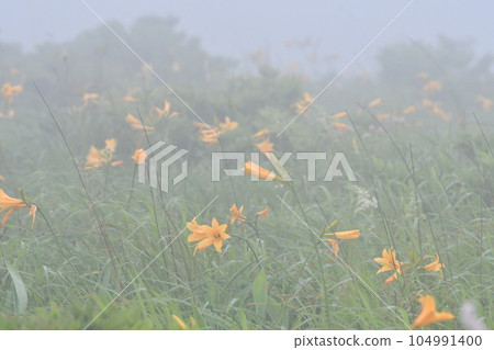 長野縣的Nikko Kisuge Kagamine Peak Plateau 104991400