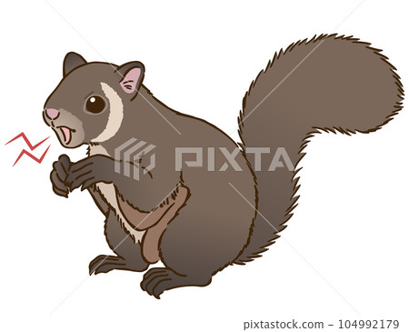 angry flying squirrel 104992179