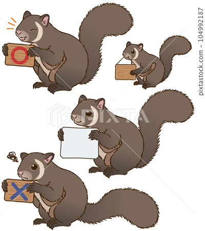 有招牌的巨型飛鼠 104992187