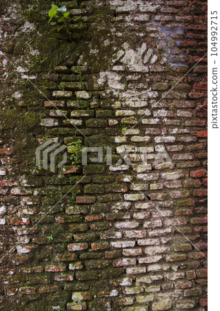 Old brick wall with green moss and lichen. Abstract background 104992715
