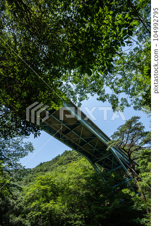 從山谷底部仰望鈴鹿天際線,青瀧橋 從山谷底部仰望鈴鹿天際線,青瀧橋 104992795