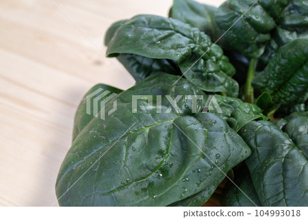 Fresh vegetables, curly spinach Fresh vegetables, curly spinach 104993018