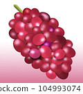 葡萄插圖 104993074