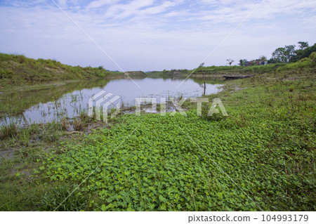 Canal with green grass and vegetation reflected in the water nearby Padma River in Bangladesh Canal with green grass and vegetation reflected in the water nearby Padma River in Bangladesh 104993179
