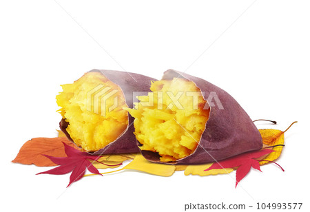 Illustration real of baked sweet potato and fallen leaves Illustration real of baked sweet potato and fallen leaves 104993577