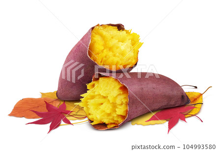 Illustration real of baked sweet potato and fallen leaves Illustration real of baked sweet potato and fallen leaves 104993580
