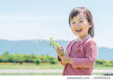 Child (girl) playing picking flowers Child (girl) playing picking flowers 104993629