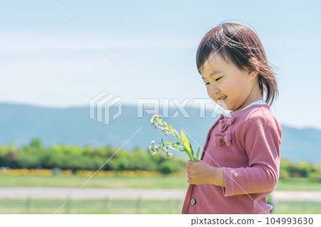 Child (girl) playing picking flowers Child (girl) playing picking flowers 104993630