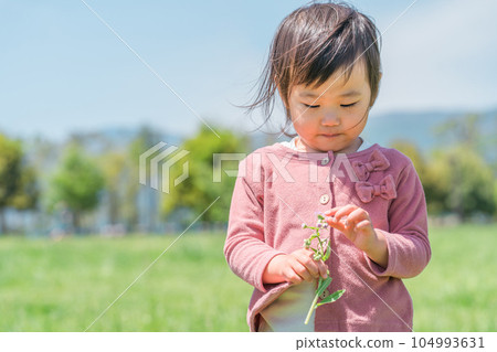 Child (girl) playing picking flowers Child (girl) playing picking flowers 104993631