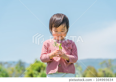 Child (girl) playing picking flowers Child (girl) playing picking flowers 104993634