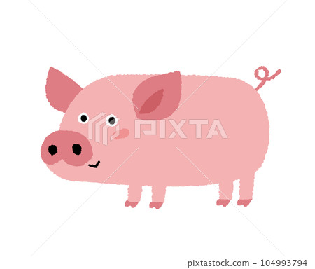 hand drawn illustration of cute pig hand drawn illustration of cute pig 104993794