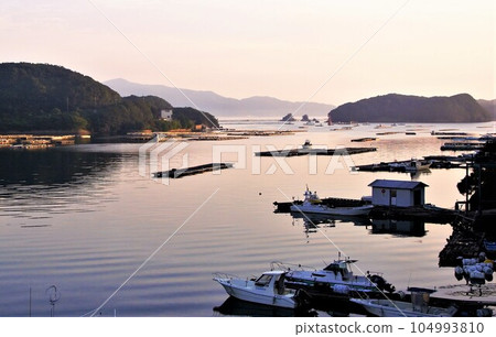 鳥羽浦灣的早晨已經到來 104993810