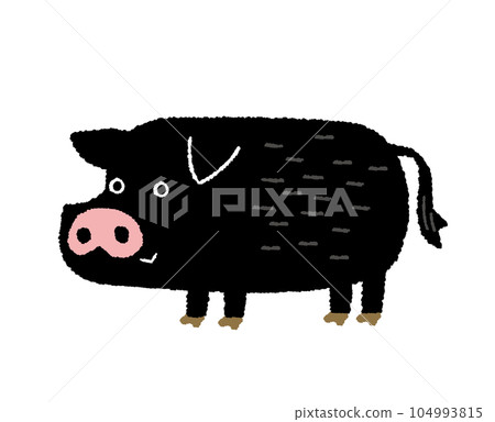 Hand drawn illustration of cute black pig Agu 104993815