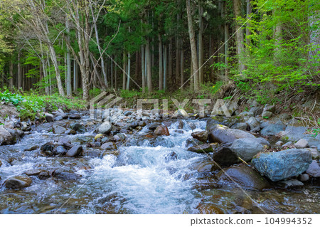 Fresh mountain stream Fresh mountain stream 104994352